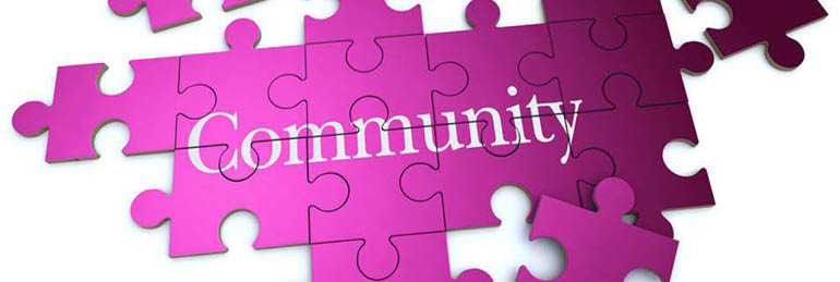 jigsaw pieces forming the word community