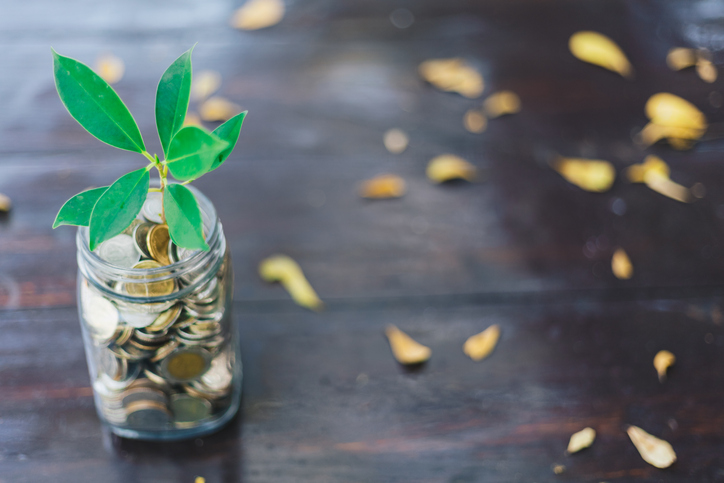 coins and plant in jar