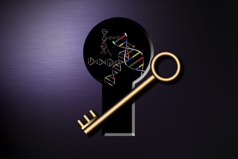 illustration of gold key