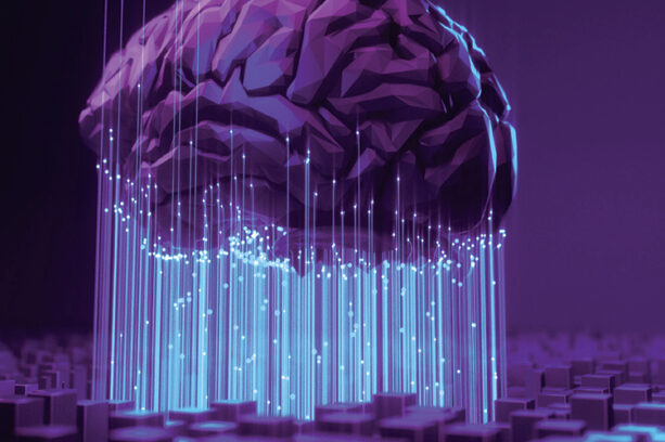 illustration of a brain