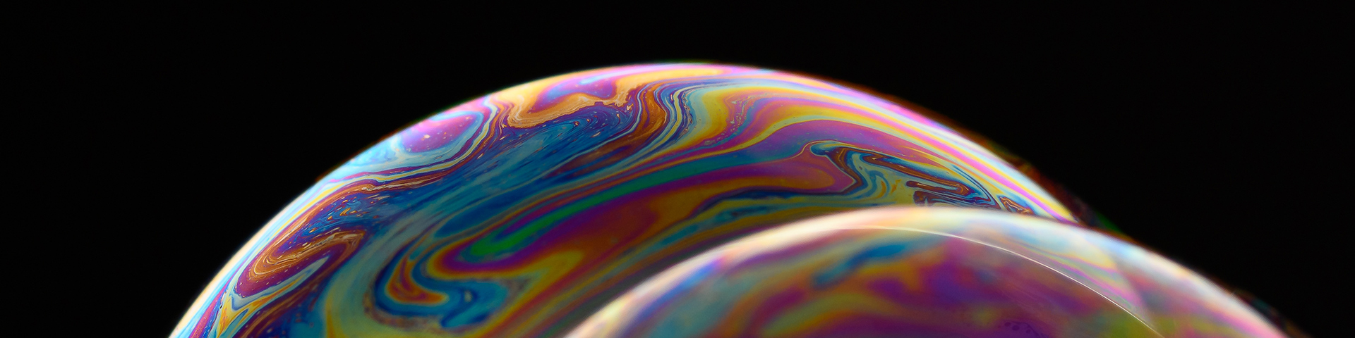 the-pulse-nov25-hero